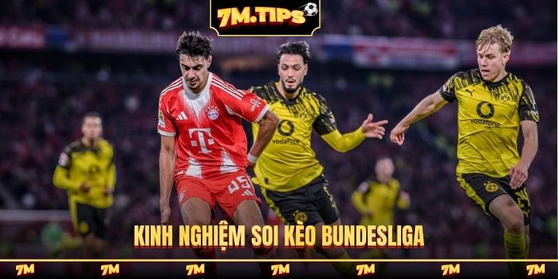 Kinh nghiệm soi kèo Bundesliga